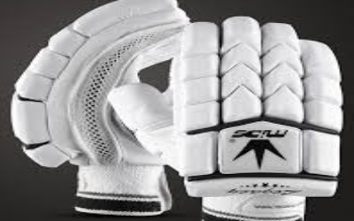 Cricket Gloves